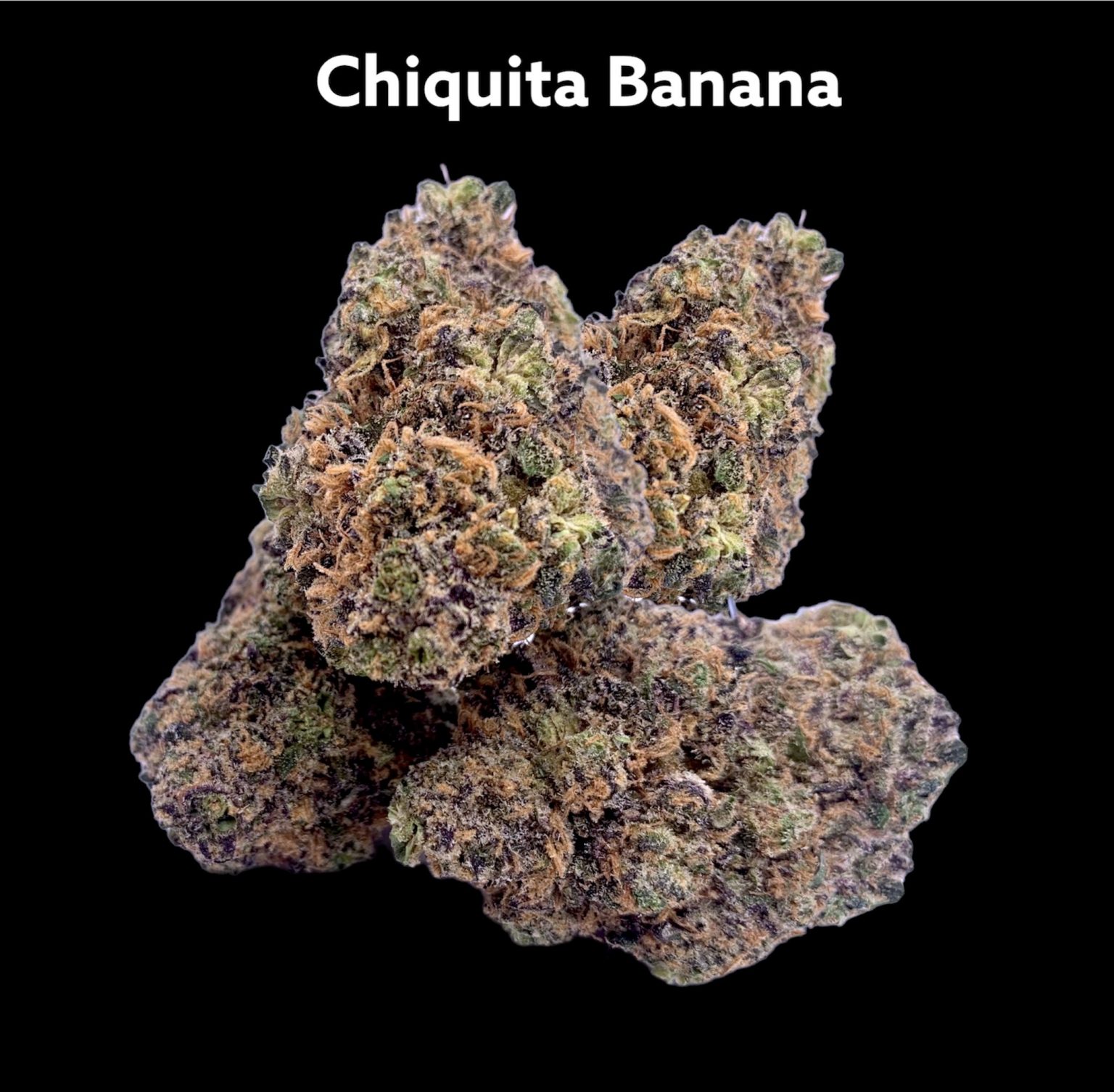 Chiquita Banana